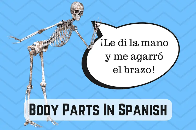 body Parts in Spanish