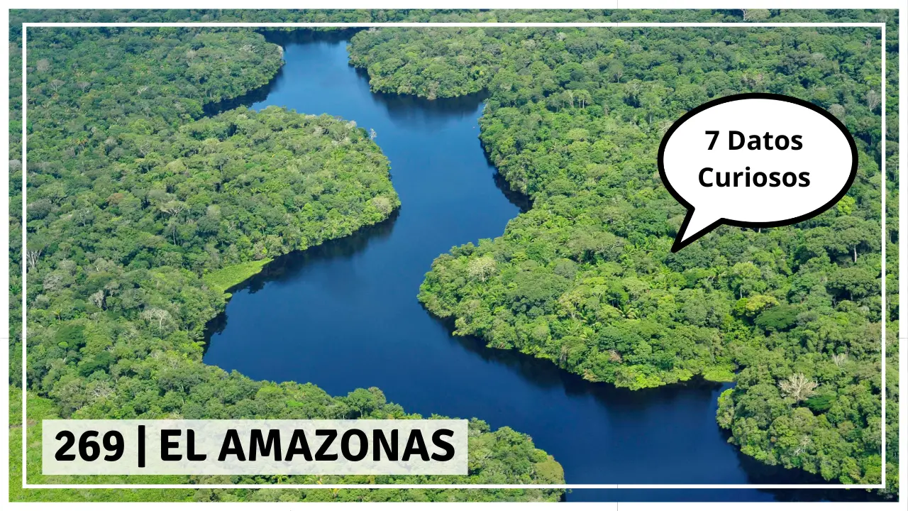 EL AMAZONAS